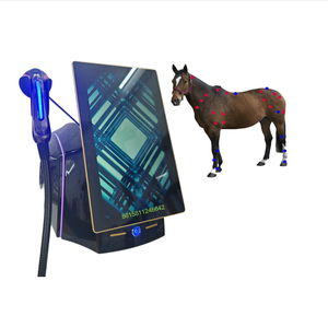 Máquina de Terapia de Ondas de Choque Electromagnéticas FWST Smartfocus para Uso de Caballos Veterinarios - Product Image 1