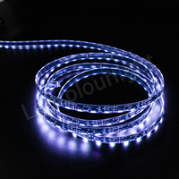 Bande lumineuse LED à éclairage latéral DC12V, flexible et adressable, pour application paysagère