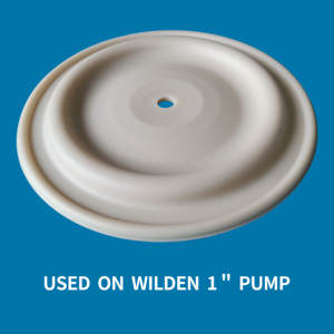 Diafragma de grado alimenticio Wilden <span class=keywords><strong>CF</strong></span> 02-1065-57 Diafragma Santoprene para bomba Wilden - Product Image 4