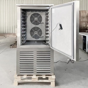 10 Tray Blast Freezer | Small Air Cooling Quick Machine | 2 Door Refrigerator Chiller - Product Image 4