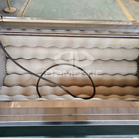 Hete Verkoop Automatische Zachte Harde Borstelrol Type Maca Wasmachine Verse Wortel Groente Borstel Peeling Reinigingsmachine Prijs