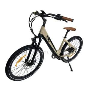 Queene-Bicicleta Eléctrica OEM para adulto, bicicleta eléctrica de carretera Retro, para ciudad