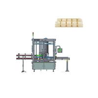 Machine d'emballage automatique pneumatique pour bouteilles en verre/plastique avec système de capsulage polyvalent pour bouchons combinés
