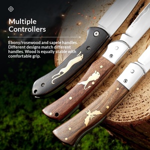 Cuchillo Plegable de Acero Compuesto con Mango de Madera, Pequeño, Portátil, Multifuncional, para Exteriores, Camping, Hogar, Frutas, Venta Caliente Transfronteriza - Product Image 1