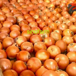 Cebollas Bawang <span class=keywords><strong>Bombay</strong></span> <span class=keywords><strong>de</strong></span> Alta Calidad, Tamaño Grande, <span class=keywords><strong>Precio</strong></span> al por Mayor, Exportación <span class=keywords><strong>de</strong></span> Vegetales Frescos, Cebolla Amarilla - Product Image 4