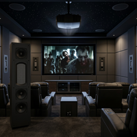 Haut-parleurs de cinéma haute fidélité, système audio en métal, solution personnalisée pour système de cinéma de villa privée