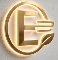 Lettres lumineuses LED personnalisées pour l'extérieur, logo, enseigne, lettres lumineuses en acier inoxydable de qualité, acrylique, pour la signalisation d'entreprise