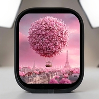 OEM ODM 2,01 Zoll TFT LCD Displaymodul 240x296 IPS Bildschirm mit kundenspezifischer FPC-Schnittstelle für Smart Home Panel Projektlösungen