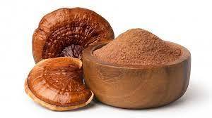 High Quality Reishi <b>Extract</b> Offering Consistent Color and Smooth Texture Suitable for Herbal Tea Mixes Powdered Drinks and Food - Product Image 5