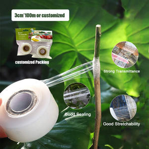 Ruban de greffage Parafilm pour arbres de jardin, greffes, fleuristes, rouleau de ruban pour semis, plantes, élagage, remplacement, Plant <span class=keywords><strong>Buddy</strong></span>, fruits - Product Image 2