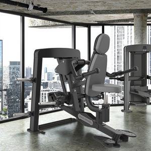 <span class=keywords><strong>Machine</strong></span> commerciale professionnelle d'immersion de <span class=keywords><strong>triceps</strong></span> de presse d'épaule chargée par plaque d'équipement de forme physique de gymnase à vendre - Product Image 3