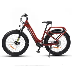 Step-thru-pendel-e-bike 250w 500w dickreifen e-bike 10ah 15ah 17.5ah elektro-dickreifen-bike für frauen