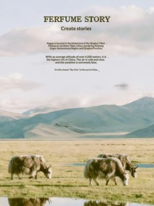 น้ำหอมกลิ่นทิเบตแพลเทอูฟิก กลิ่นหอมติดทนนาน เนื้อน้ำบางเบา ขนาดปกติ พร้อมกลิ่นดอกไม้ ผลไม้ และไม้หอม - Product Image 6