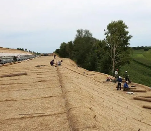 Nete Dừa Xơ xơ dừa hiện đại thoát nước dam đất bảo tồn Mat & chăn 2-năm bảo hành 24-trong Chiều rộng cho nhà máy Hạt Giống Cỏ - Product Image 1