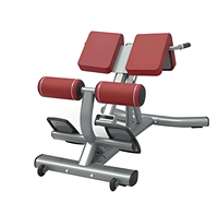 Banc réglable de chaise de Roma en métal d'équipement de gymnastique à la maison commerciale avec le cadre d'étirement arrière