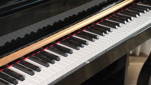 La mia musica 8803 portatile 88 tasti LED martello di legno organo elettronico grande tastiera digitale Midi con strumenti di pianoforte - Product Image 4