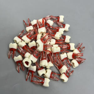 Modello dentale educativo: dente canalare a bande rosse con radici per la pratica studentesca in endodonzia e riempimento della cavità - Product Image 5