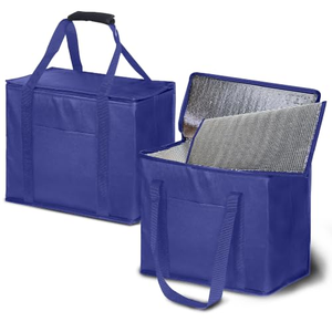 Lunch <b>Cooler</b> <b>Bag</b> Custom Logo Reusable <b>Small</b> 6 Can Non Woven Insulated Thermal <b>Bags</b> with Long Handle - Product Image 1