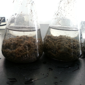 Polyacrylamide PAM, polyacrylamide partiellement hydrolysé HPAM, <span class=keywords><strong>floculant</strong></span> / agent de floculation - Product Image 3