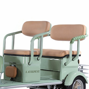Tricycle électrique à plateau ouvert, 800W, 3 roues, moteur à moyeu arrière, cadre en acier - Product Image 2