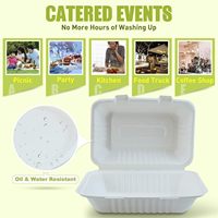 Boîte à lunch jetable compostable personnalisée, vaisselle biodégradable en bagasse de canne à sucre, contenant alimentaire à clapet