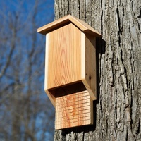 Nichoirs en bois pour chauves-souris, boîtes de nidification pour animaux sauvages