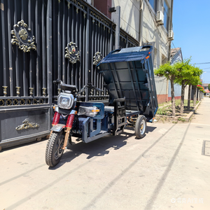 Hot Sell Tricycle 800W Motor 400kg Payload Steel Frame <b>2</b> <b>Passengers</b> Long-distance Travel - Product Image 2