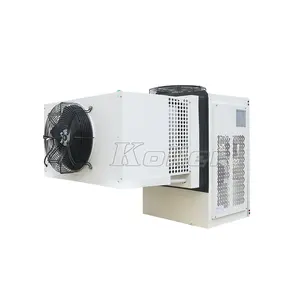 High Quality Fast Delivery Smart Packaged Unit Refrigeration Condensing Unit for Cold Room