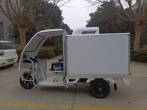 Refrigerator Box Tricycle With Solar Panel