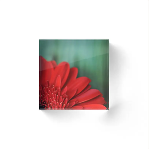 Support photo personnalisé en acrylique DIY, imprimé en couleur, pour <span class=keywords><strong>anime</strong></span> et personnages de jeux, décoration murale, forme personnalisée, économique, ornement de collection - Product Image 2
