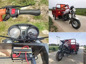 จีนจำหน่ายรถ<span class=keywords><strong>สามล้อ</strong></span>บรรทุก 3 ล้อ 200 ซีซี แบบกำหนดเอง รถ<span class=keywords><strong>สามล้อ</strong></span>เครื่องยนต์เบนซินสำหรับการเกษตร - Product Image 2