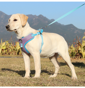 Hot Sale New Polyester Pet Safety Leash <strong>Harness</strong> Vest Dog Chest Straps Reflective Dog <strong>Harness</strong> - Product Image 4