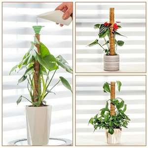 Poteau en fibre de coco flexible, support de plante <span class=keywords><strong>DIY</strong></span> façonnable, bâton d'escalade pour plantes grimpantes - Product Image 4