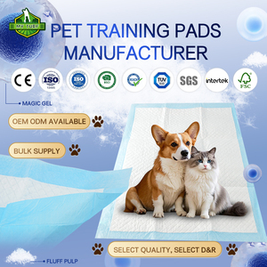 Source Usine Fabricant R & D Non-Woven Puppy Training Pee Pads pour Pet Schools - Product Image 1