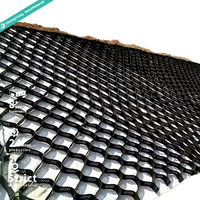Grille géocellulaire perforée texturée en HDPE de 100 mm de profondeur, noire, écologique, pour la stabilisation des allées en gravier et le contrôle de l'érosion des pentes
