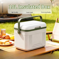 Mini-réfrigérateur portable isotherme 10L pour voiture, glacière robuste en PU pour camping extérieur, canettes, aliments et boissons