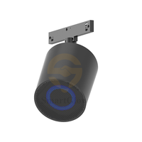 Sistem Lampu Rel Magnetik 20mm dengan Speaker Bluetooth, Konektivitas Nirkabel, Speaker Lampu Rel DC48V, Audio Rel Rumah Pintar
