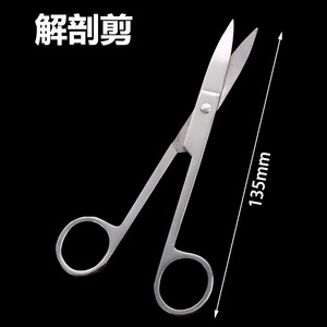 Instrumentos de disección biológica, tijeras de disección, tijeras de punta fina, tijeras quirúrgicas para disección animal, biológicas - Product Image 1