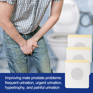 Produk Kesehatan Grosir Plester Herbal Prostat Meredakan Nyeri dan Kebutuhan Buang Air Kecil yang Mendesak Suplemen Herbal Plester - Product Image 4