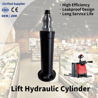 Vérin hydraulique à piston électrique JX personnalisé de haute qualité 24MPa en acier chromé dur pour transpalette, garantie 1 an