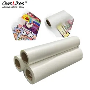 Flexografi Eco-solvent Printing Flex Film Vinyl Pu Htv Roll mudah dipotong Easyweed Transfer panas Vinyl untuk pakaian