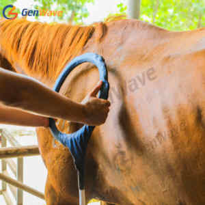 Equine PMST LOOP PEMF terapi lapangan elektromagnetik perawatan aman dan efektif mengurangi nyeri nyeri nyeri nyeri pada kuda - Product Image 2