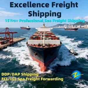 Envío por Agente de FBA desde Shenzhen, Foshan, Guangzhou a La <span class=keywords><strong>Paz</strong></span>, <span class=keywords><strong>Santa</strong></span> Cruz, Oruro, Potosí, Sucre, Tarija, Bolivia, DDP, Marítimo, FCL, LCL - Product Image 2