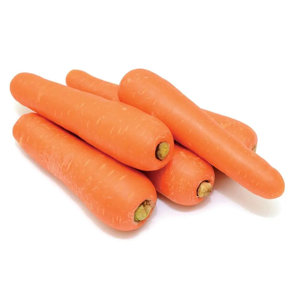 Chine carotte fraîche 80-150 gramme Offre Spéciale rouge carotte prix d'importation
