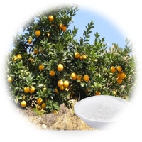 Agent de rétention d'eau et de conservation des sols en polymère agricole super absorbant