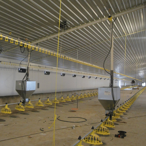 Estructura de acero ligera prefabricada para instalación en agricultura, para pollo, aves de corral, diseño de Casa de granja - Product Image 5
