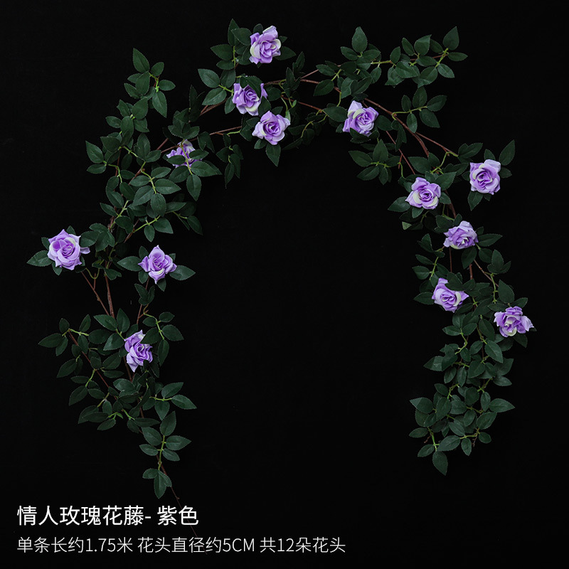 Vigne de roses violettes pour la Saint-Valentin
