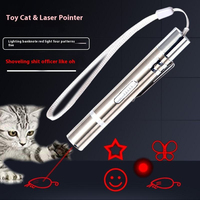 Jouet laser pour chat en acier inoxydable moderne et classique, rechargeable par USB, respectueux de l'environnement, avec projection multi-motifs, stylo pointeur interactif