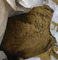 Fabrikpreis Yin Xing Ye Chinesisches Naturkraut Premium Getrocknetes Ginkgo Biloba Blattpulver