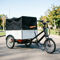 Tricycle cargo électrique à pneus larges pour adultes, vélo-cargo urbain à 3 roues, vélo-cargo électrique